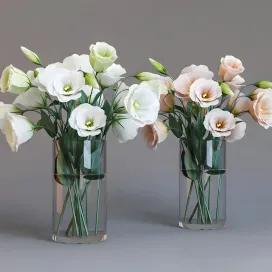 Eustoma
